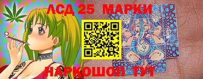 спиды Моздок