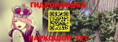 спиды Моздок
