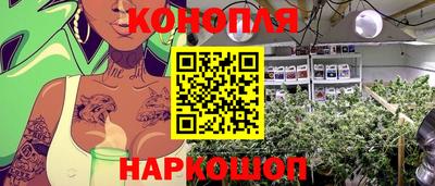 спиды Моздок