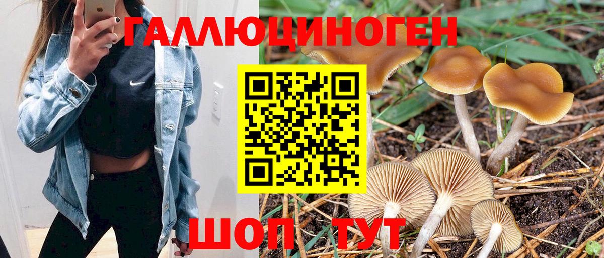 Галлюциногенные грибы Cubensis  где купить наркоту  Курск  Псилоцибиновые грибы MAGIC MUSHROOMS  Вход с VPN 