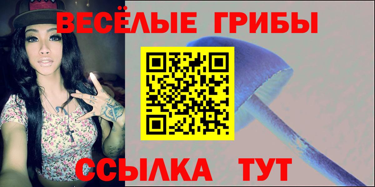 Галлюциногенные грибы GOLDEN TEACHER Курск